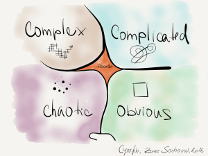Complexity - Cynefin